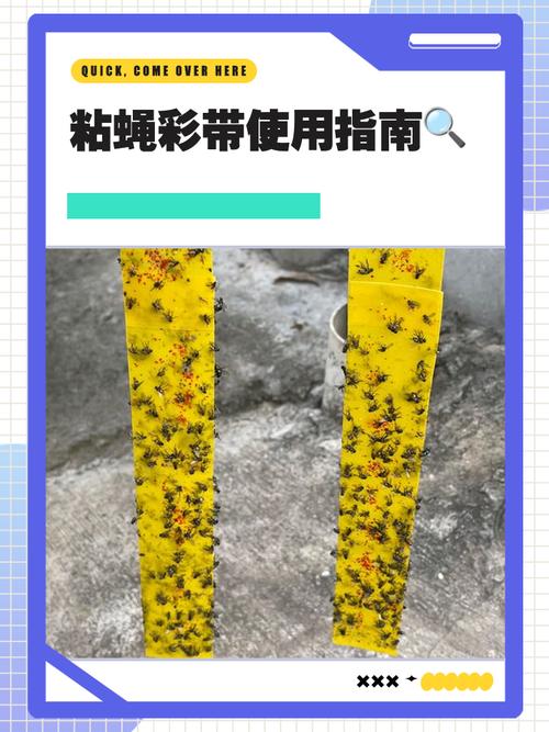 粘蝇彩带使用全指南 从选购到更换的实用细节