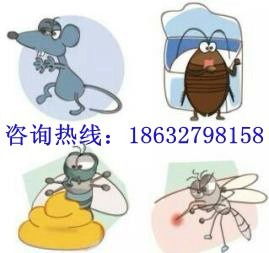 沧州灭蟑螂、除四害全攻略 粘蝇带等实效工具与专业服务指南